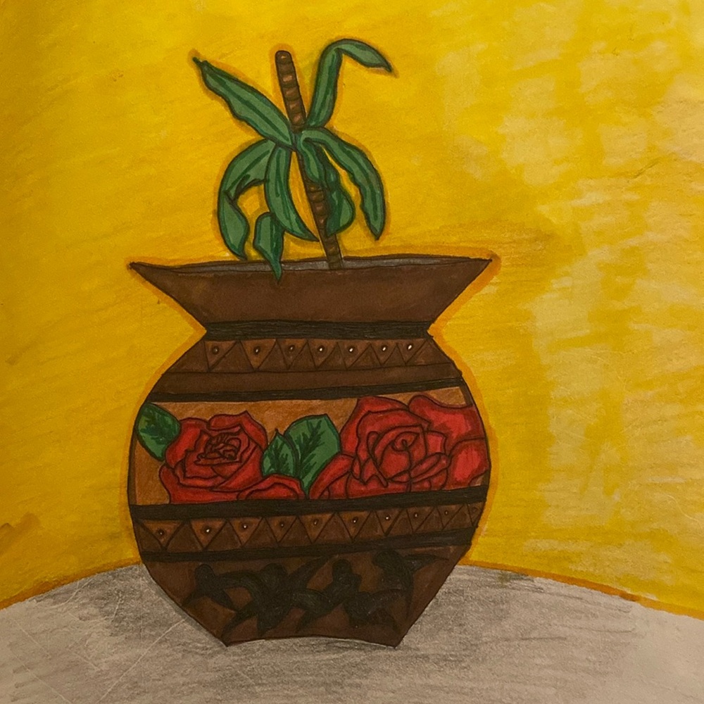 House plant drawing